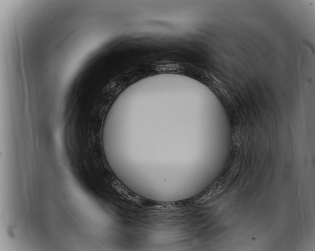 X0000097510763200802220905