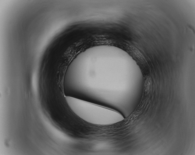 X0000097510764200802220905
