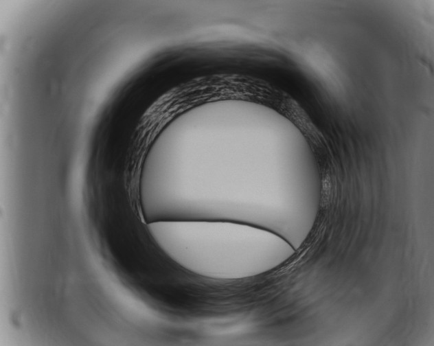 X0000097510765200802220905
