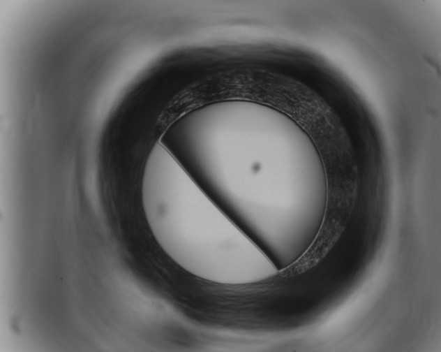 X0000097510766200802220905