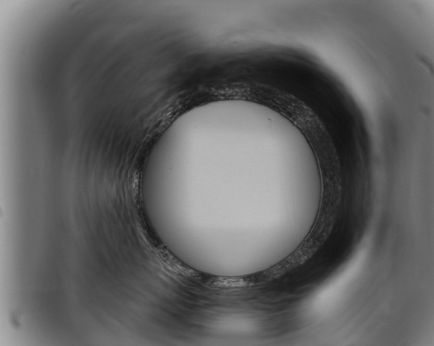 X0000097510767200802220905
