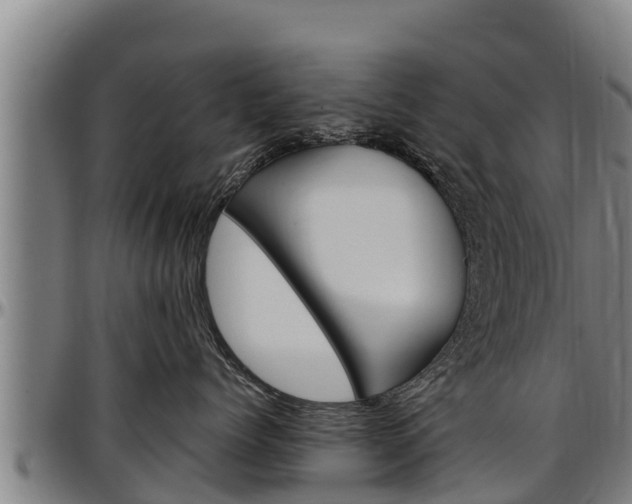 X0000097510768200802220905