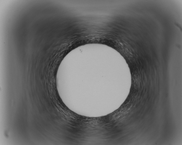 X0000097510769200802220904