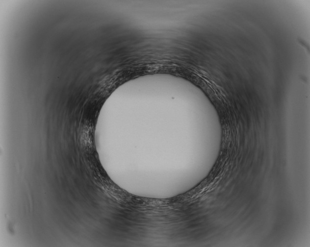 X0000097510770200802220904