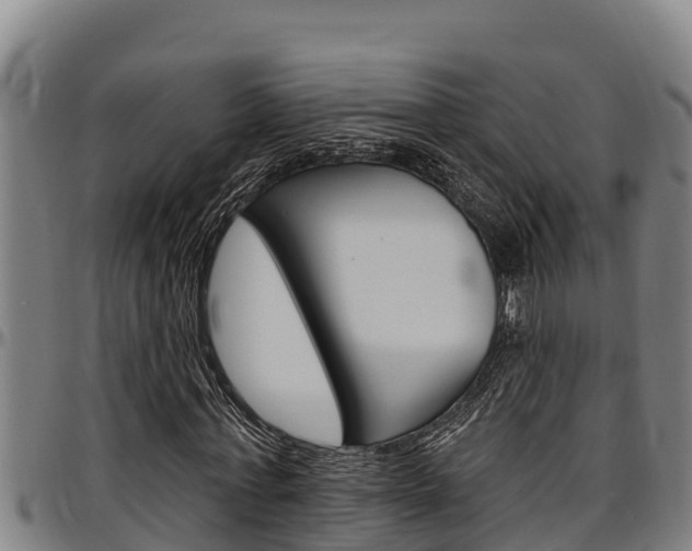 X0000097510771200802220904