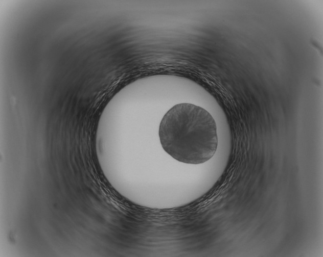 X0000097510772200802220904