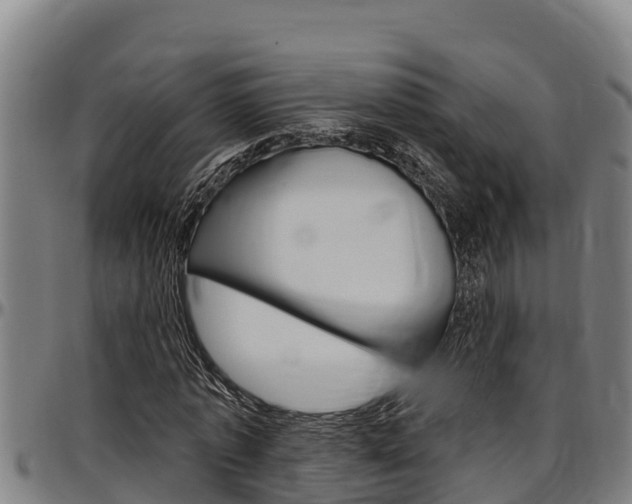 X0000097510773200802220904