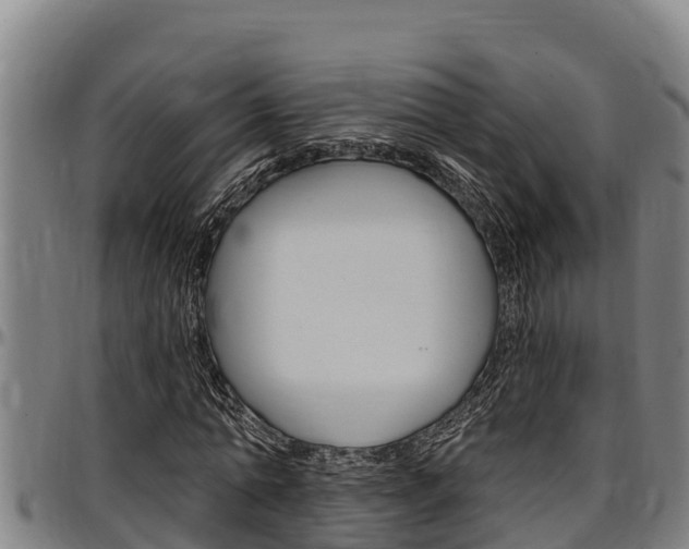X0000097510774200802220904