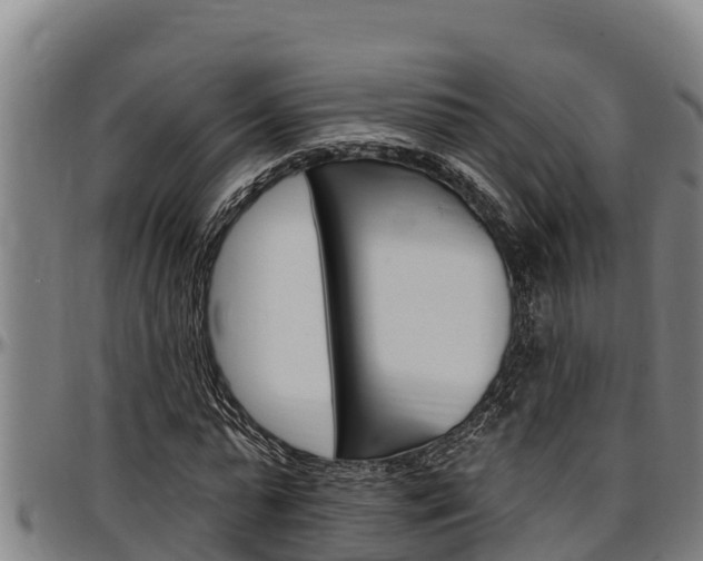 X0000097510775200802220904