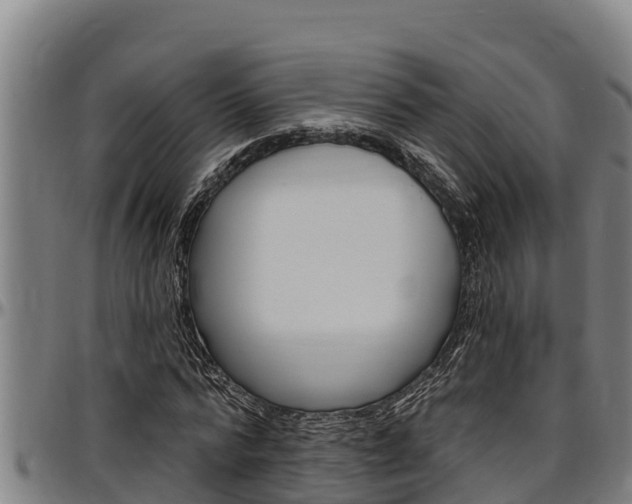X0000097510776200802220904
