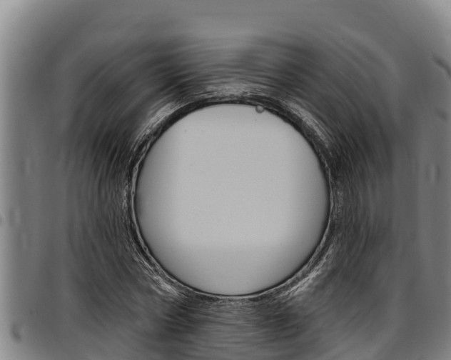 X0000097510778200802220904