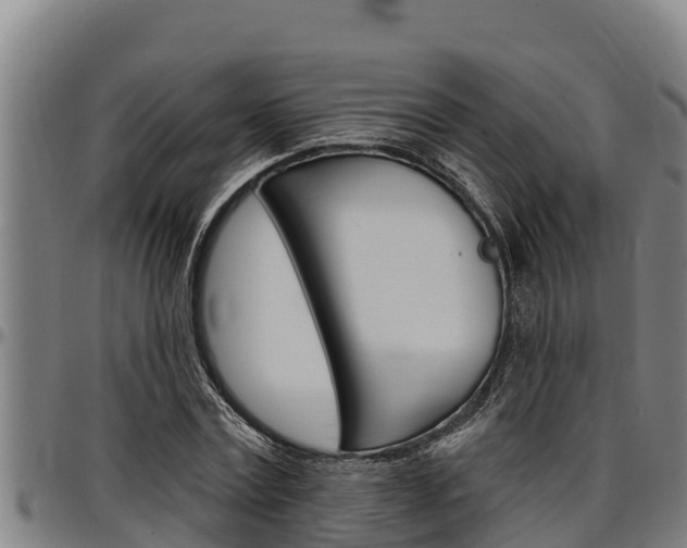 X0000097510779200802220904