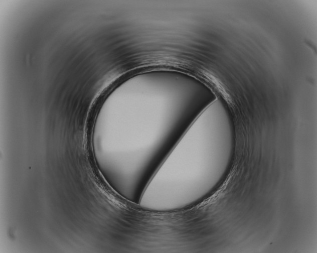 X0000097510780200802220904