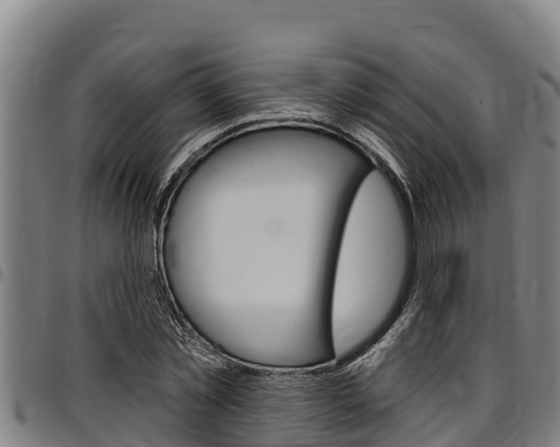 X0000097510781200802220904