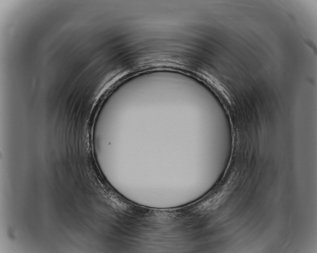 X0000097510782200802220904
