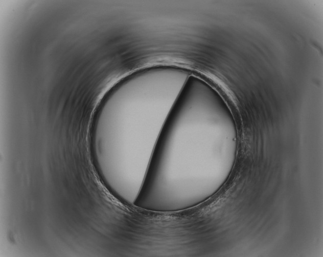 X0000097510783200802220904