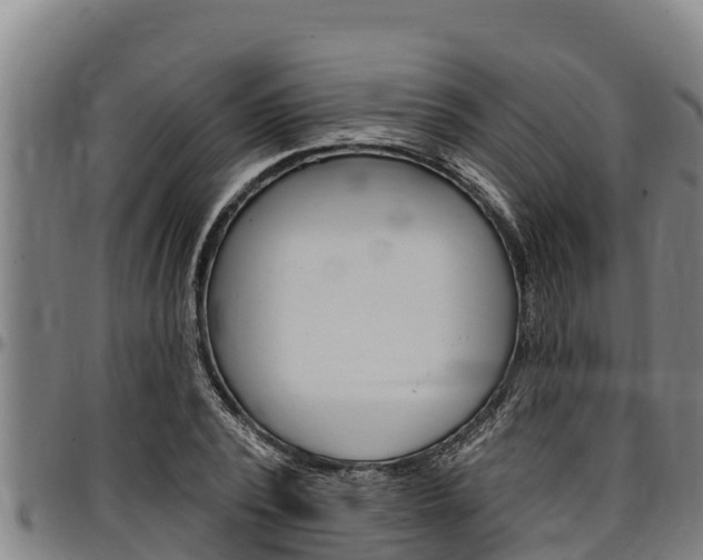 X0000097510784200802220904