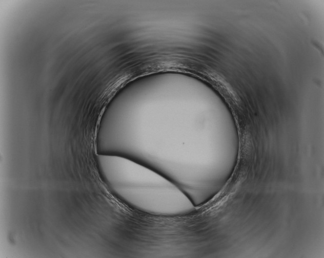 X0000097510785200802220904