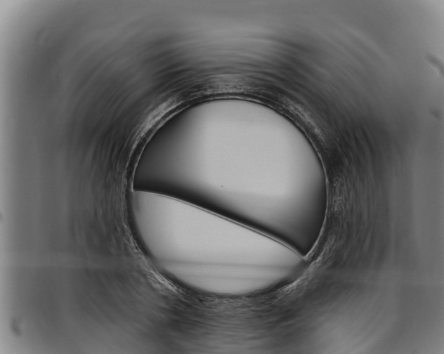 X0000097510786200802220904