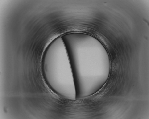 X0000097510787200802220904