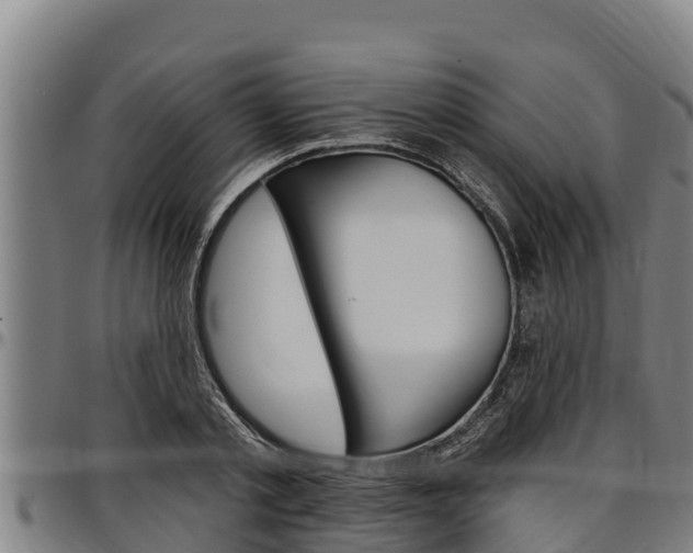 X0000097510789200802220904