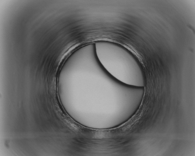 X0000097510790200802220904