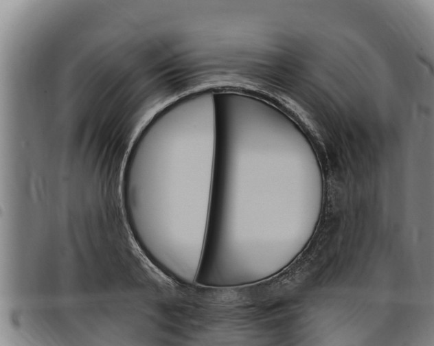 X0000097510791200802220904