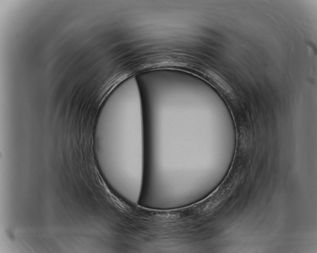 X0000097510793200802220904