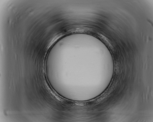 X0000097510794200802220904