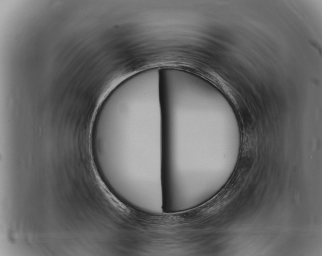 X0000097510795200802220904