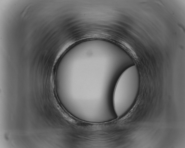 X0000097510796200802220904