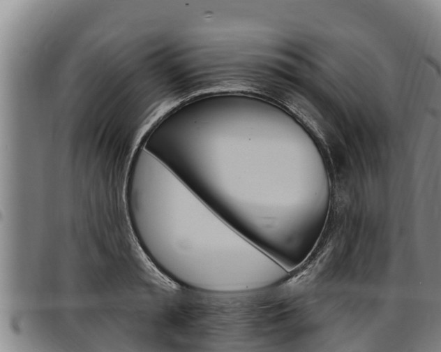 X0000097510797200802220904