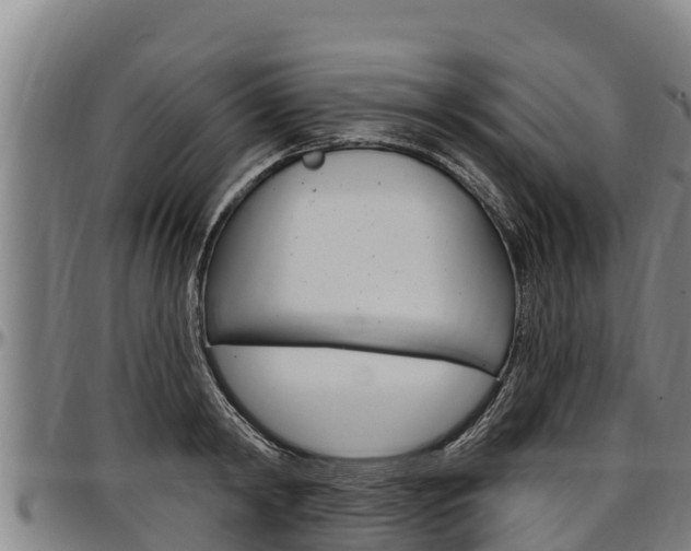 X0000097510798200802220904