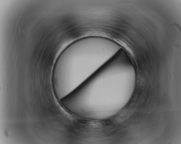 X0000097510799200802220904