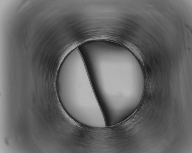 X0000097510805200802220903