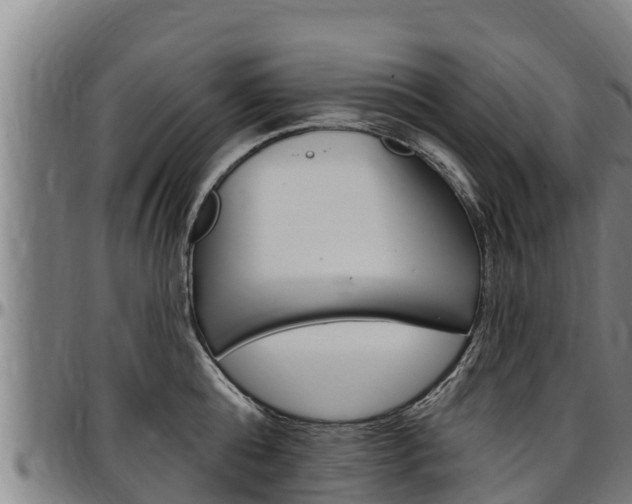 X0000097510808200802220903