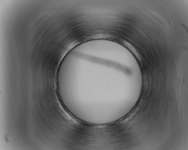 X0000097510810200802220903