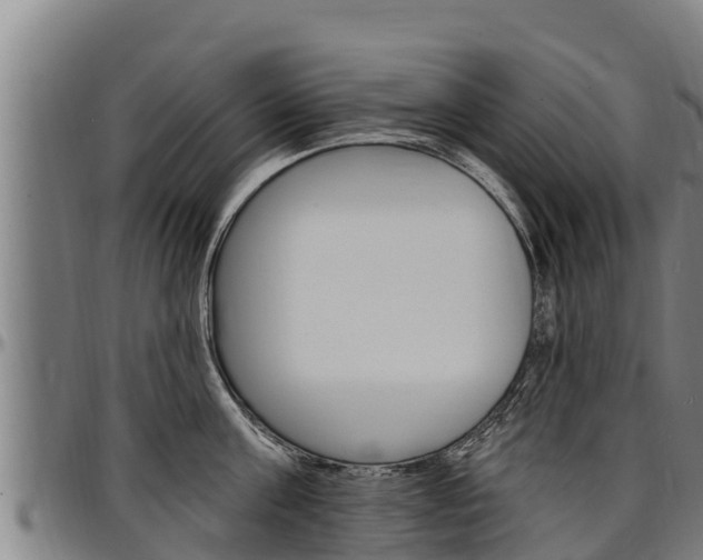 X0000097510811200802220903