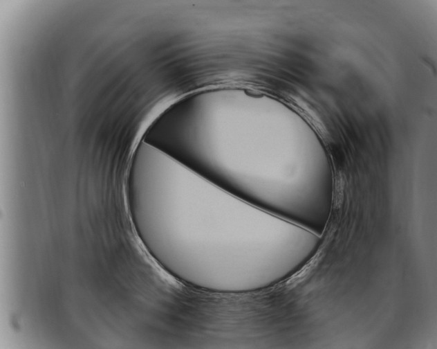 X0000097510812200802220903