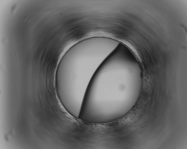 X0000097510815200802220903