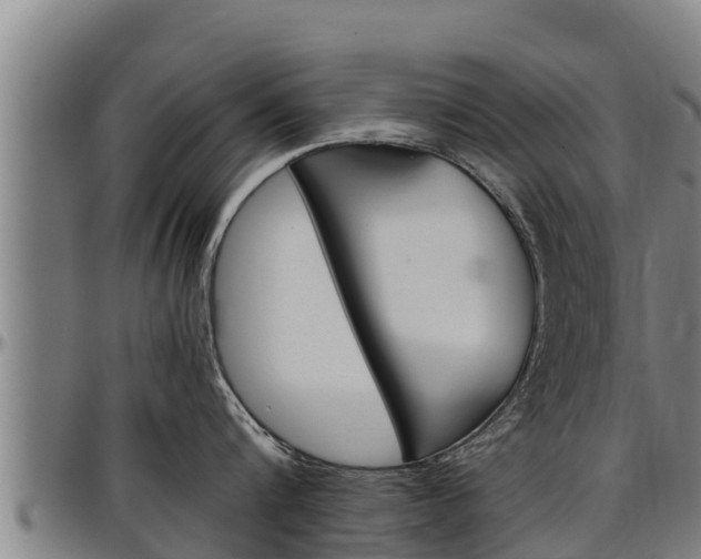 X0000097510816200802220903