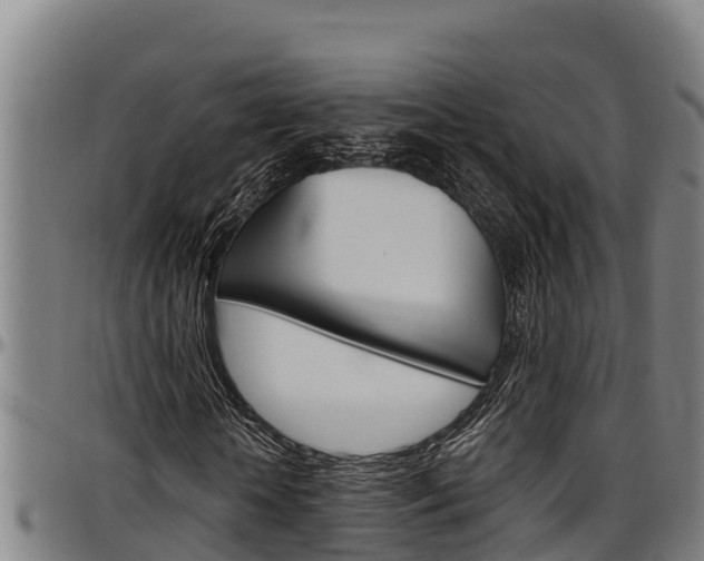X0000097510818200802220902