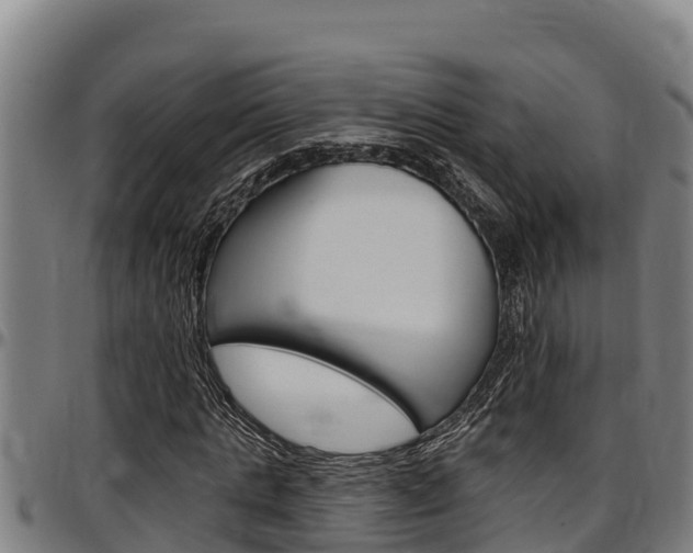 X0000097510821200802220903