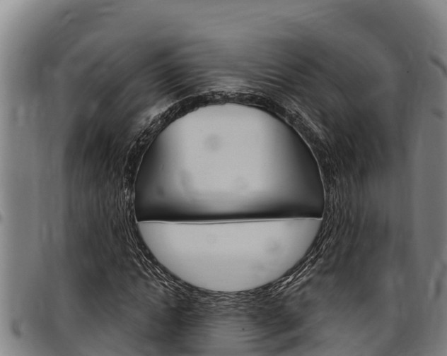 X0000097510822200802220903