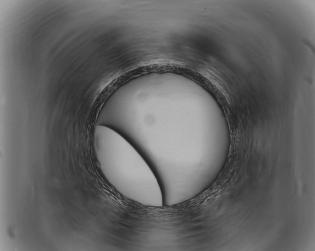 X0000097510823200802220903