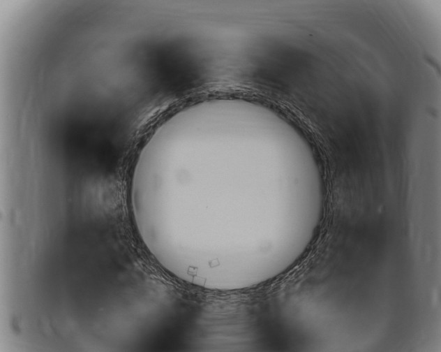 X0000097510824200802220903