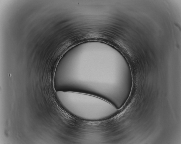 X0000097510825200802220903