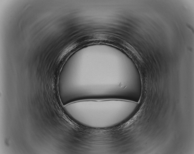 X0000097510826200802220903