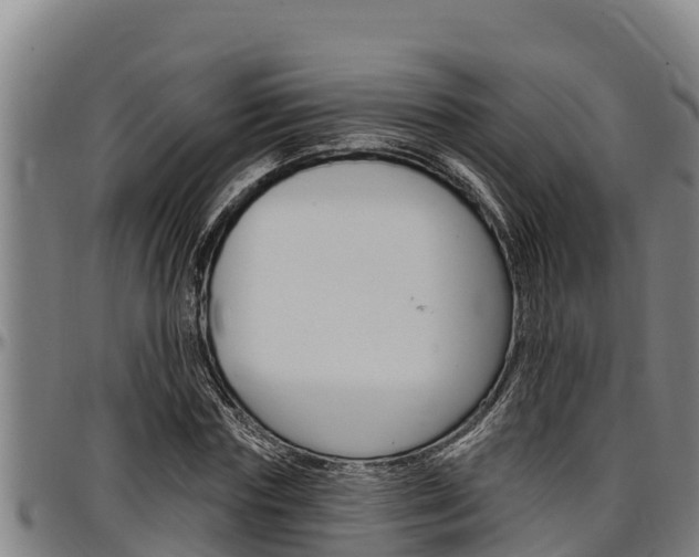 X0000097510827200802220903
