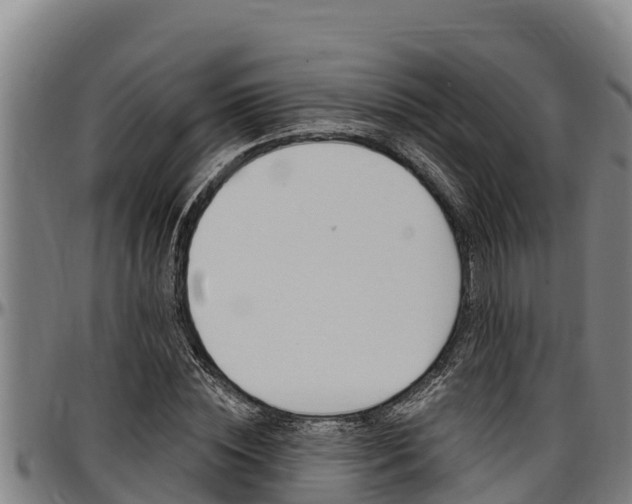 X0000097510828200802220903
